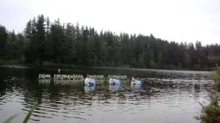 ХРЕШЕННЯ 2010 ЕВСК+FUBC (Паша,Марина, Артем)