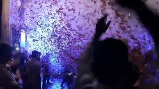 Sri ganesh event#paper blaster#jajpurtown#mob-7437855143