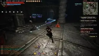 Black Desert PS4: 1st Kzarka WB from Kzarka WB
