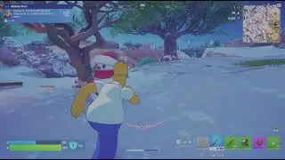 cant stop homer