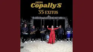 Chilena Copala