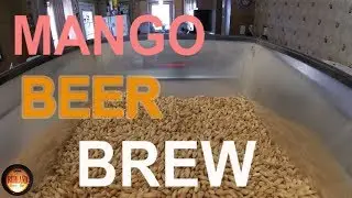 A Misty Mango Beer Brew With Vintners Harvest Mango Puree