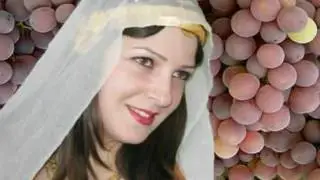 زفة العروس Golan FM