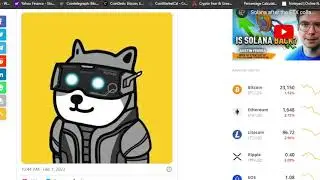 Bitcoin Crypto Market News | Bitcoin Ki Latest News and Updates | Is Shiba Next Pump Coming?