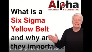 What is a Six Sigma Yellow Belt?