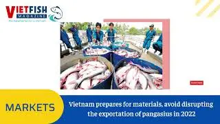 Vietnam prepares for materials, avoid disrupting the exportation of pangasius in 2022