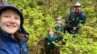 Walking Into The Woods in Southeast Alaska 