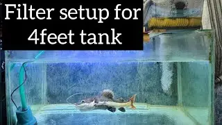 Filter set up for our 4 feet fish tank | DIY filter set up | predator lover | tamil