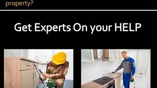 Auburn Pest Control Pros - Mice Control Service in Auburn WA