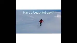 Morning Friends!#dog#dogs#comics#skiday#Malteselovers#Max for President Facebook #funday 