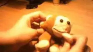 Susito dancing