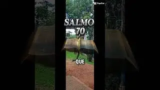 15 de janeiro de 2026