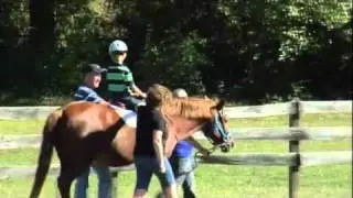 Choosing a Horse for ParaRiding