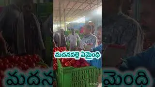 Madanapalle tomato market prices today