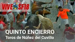 Quinto encierro de San Fermín 2018 | Toros de Núñez del Cuvillo | Vive San Fermín