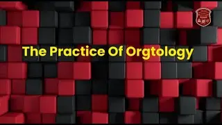The Practice of Orgtology | Construct & Dynamics Explained