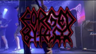 Forged By Fear - End of Eden (Live @ Amplifier 5/12/25)