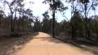 Entering the buffer zone at the Kanha National Park