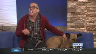 Steve-O - Comedy Off Broadway