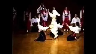 VLADAN BAMBI 45 GOD.DJOKA PAVLOVIC NA KOLARCU