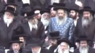 Both Satmar Rebbe's R'Aron & R'Zalmen Looking at Each Other at Protest in Manhattan