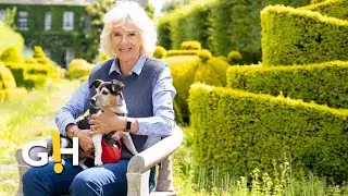 Queen Camilla's Jaw-Dropping Sustainable Style | Gossip Herald