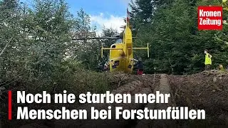 Noch nie starben mehr Menschen bei Forstunf&auml;llen | krone.tv NEWS