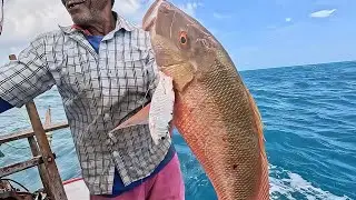 (Guerreiros Do Mar) TIVEMOS UMA GRANDE SURPRESA NESSA PESCARIA, 2 FISGADAS QUE VALE MUITO ASSISTIR!
