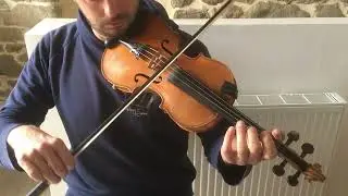 The Old Concertina - Reel