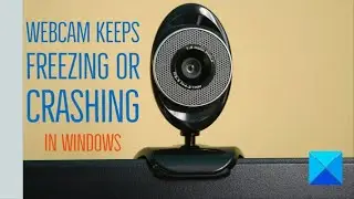 Webcam keeps freezing or crashing in Windows 11