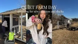 Quiet Farm Days: Prepping Coops for New Chickens & Ducks