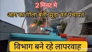 आग का गोला बनी प्यूड़ा वन पंचायत।