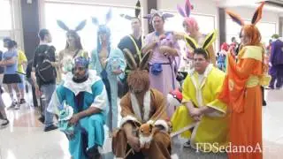 MetroCon 2014 - Cosplay Music Video