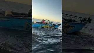 Годзилла на прогулке! #рекомендации #fishing #рыбалка #music