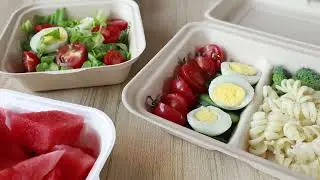 Sugarcane pulp lunch box + food #packagingsupplier #foodpackaging #factory #takeawaypacking