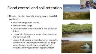 Conservation Biology: Ecosystem Services