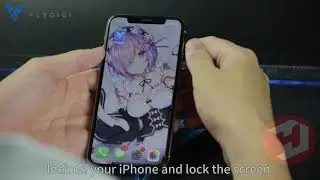 Flydigi Wasp-X Setup Tutorial for iPhone X, XS, XS MAX