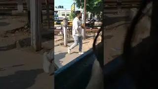 Rail Gate closing video #shorts #indianrailways #levelcrossing #railgate