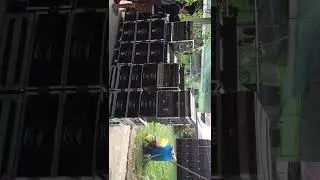 7seas disco mobile setup
