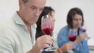 Herdade do Peso | Harvest 2025