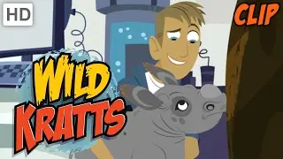Wild Кратц - The Кратц 'Существо World Семейный клип Сборник (Half Hour)