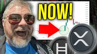 BITBOY JUST FOUND AN URGENT ALERT FOR RIPPLE AND HEDERA! YOU DON'T WANT TO MISS IT