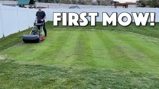 Mowing My PUTTING GREEN For the FIRST TIME!!!