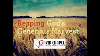 David Chapel Sermon - The Seed That Changes Everything