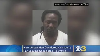 New Jersey Man Who Left Caged Dog To Drown Convicted On Cruelty Count