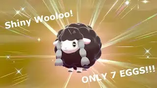 Shiny Wooloo Hatches After ONLY 7 Masuda Method Eggs!!! (Pok&eacute;mon Sword)