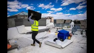 Mule-Hide TPO Roof Installation at Grand Junction City Hall | Up Top Roofing Project