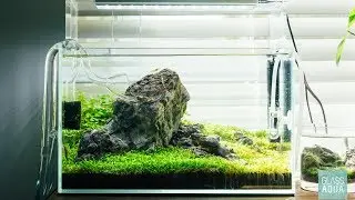 Ultum Nature Systems 5N - 5 Gallon Nano Planted Aquarium