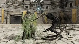 Cemetery Shade Vs NPCs - Elden Ring