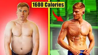 What Eating 1600 Calories ACTUALLY Does To Your Body